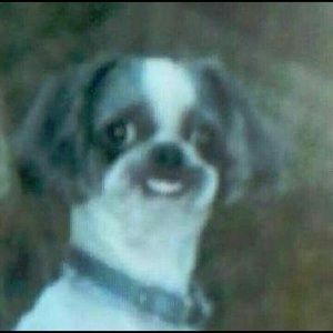 Meet your Posher, Mariah